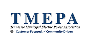TMEPA